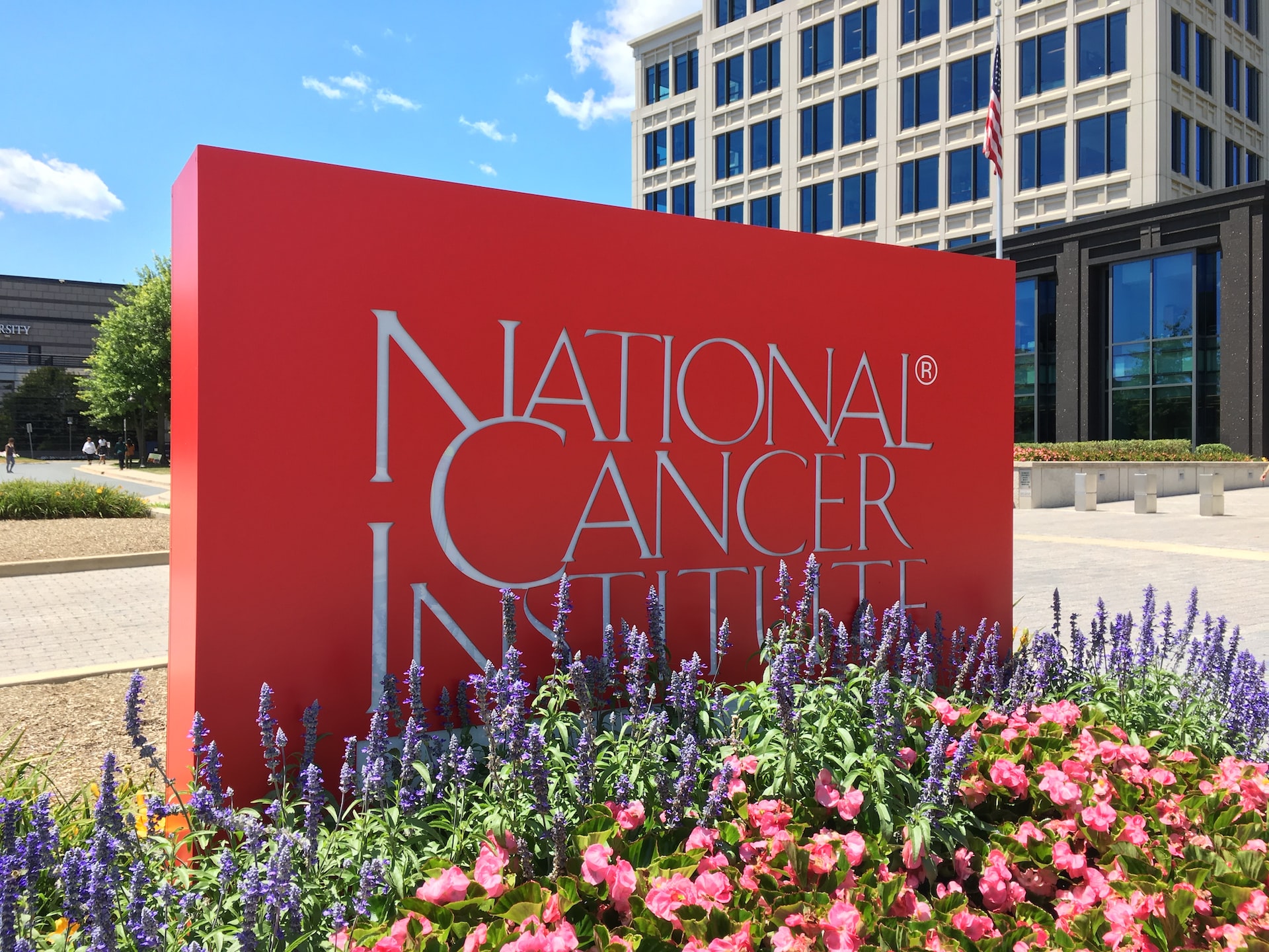 The National Cancer Institute at Shady Grove, Maryland, with the name engraved on a stone near a bed of flowers