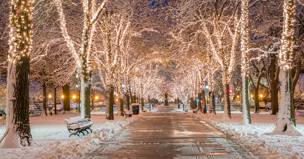 15 Best Christmas Things To Do In Boston