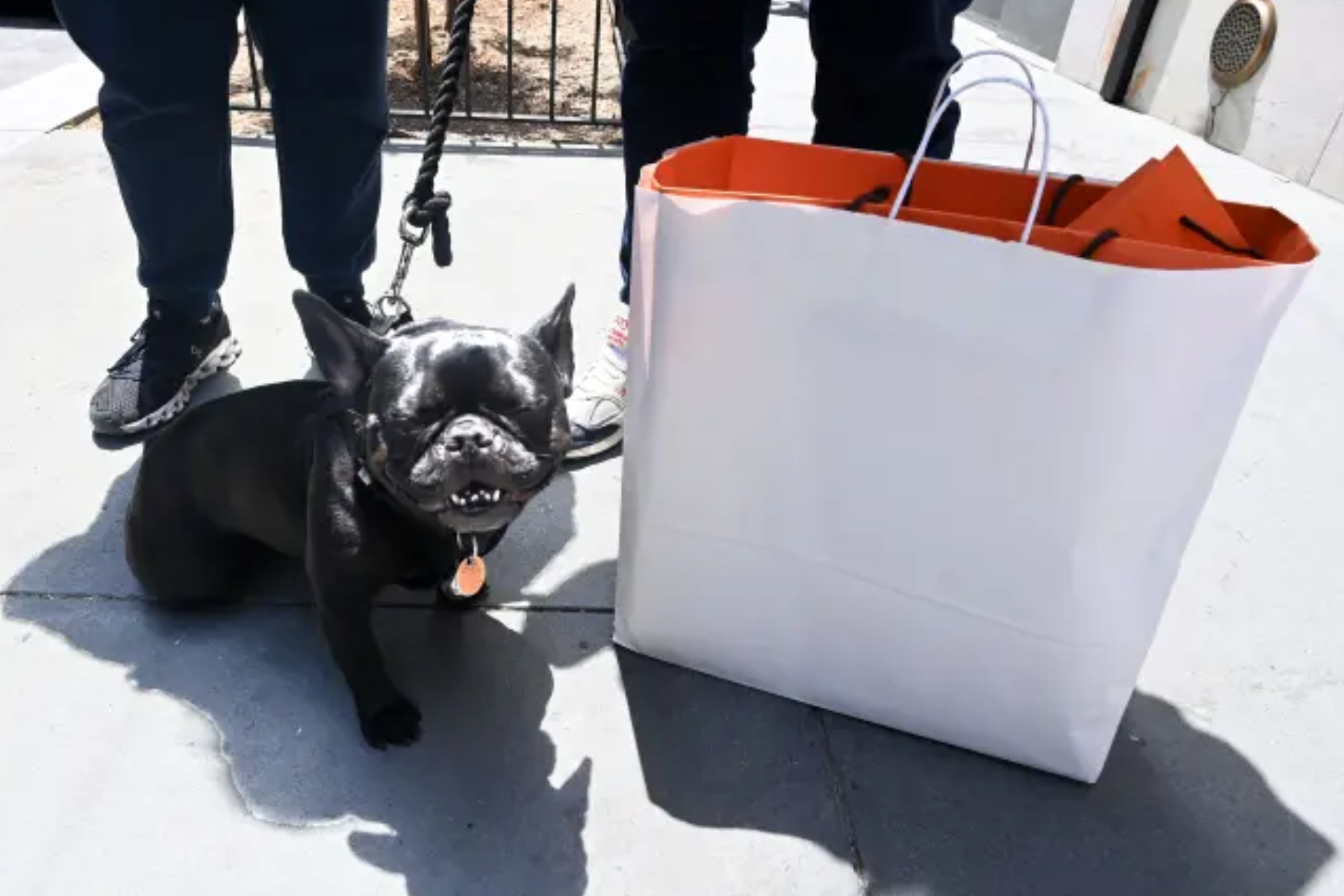 Tiffany Customers Ditching Blue Bags For Plain Ones As NYC Crime Soars